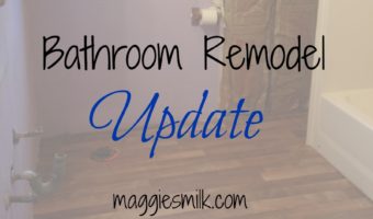 Bathroom remodel update.
