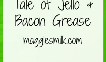 Bacon grease and jello. What a combination. Click through and read my tale.