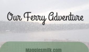 Enjoying the free ferry services in Eastern Washington.
