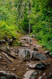 Part of the trail to view Granite Falls. 